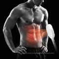 7 TeslaFormer Portable Electromagnetic Muscle Fortaleciendo Dispositivo de esculpir